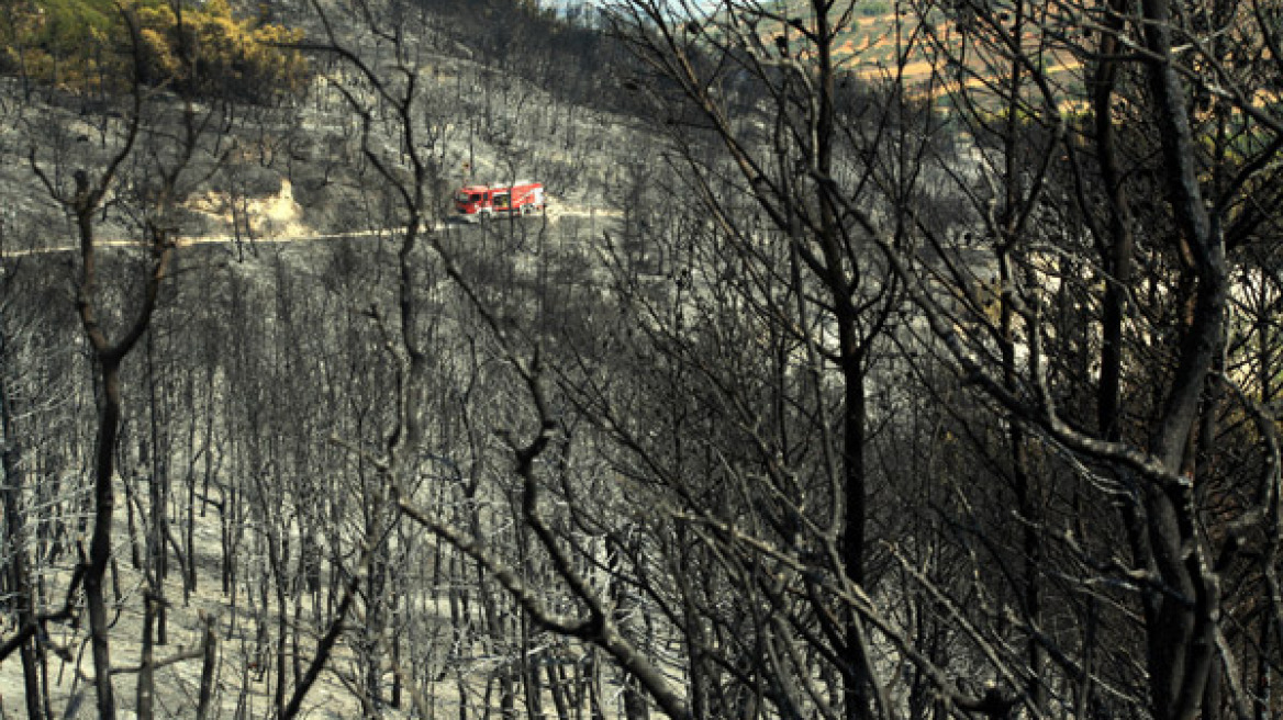 Εξέπνευσε ο 60χρονος που είχε τραυματιστεί στη φωτιά της Αρκαδίας