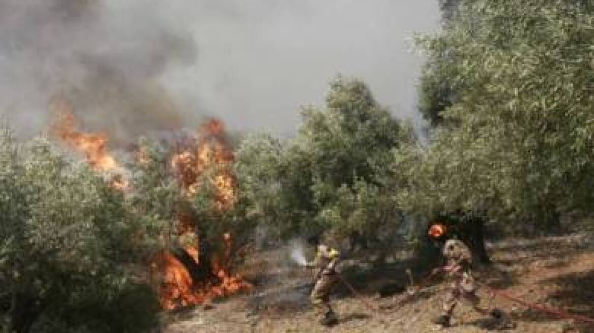 Πυρκαγιά στη Σάμο με ελαφρύ τραυματισμό ενός πυροσβέστη