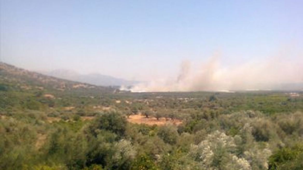 Υπό μερικό έλεγχο η φωτιά στο Λάγιο Λακωνίας