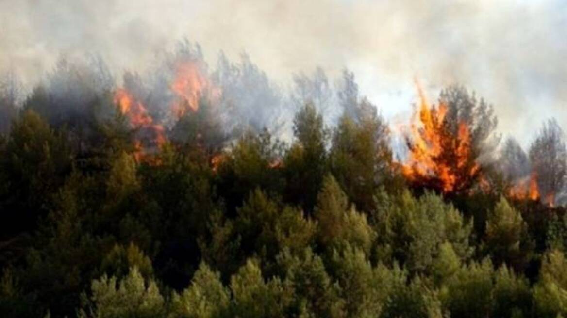 Πυρκαγιά στην περιοχή Λυκόχια Αρκαδίας