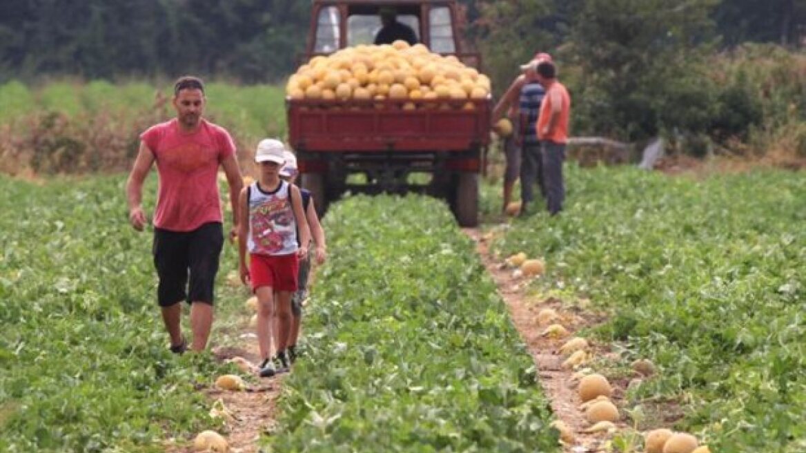 Λήγει την Παρασκευή η προθεσμία για την εξισωτική αποζημίωση των αγροτών