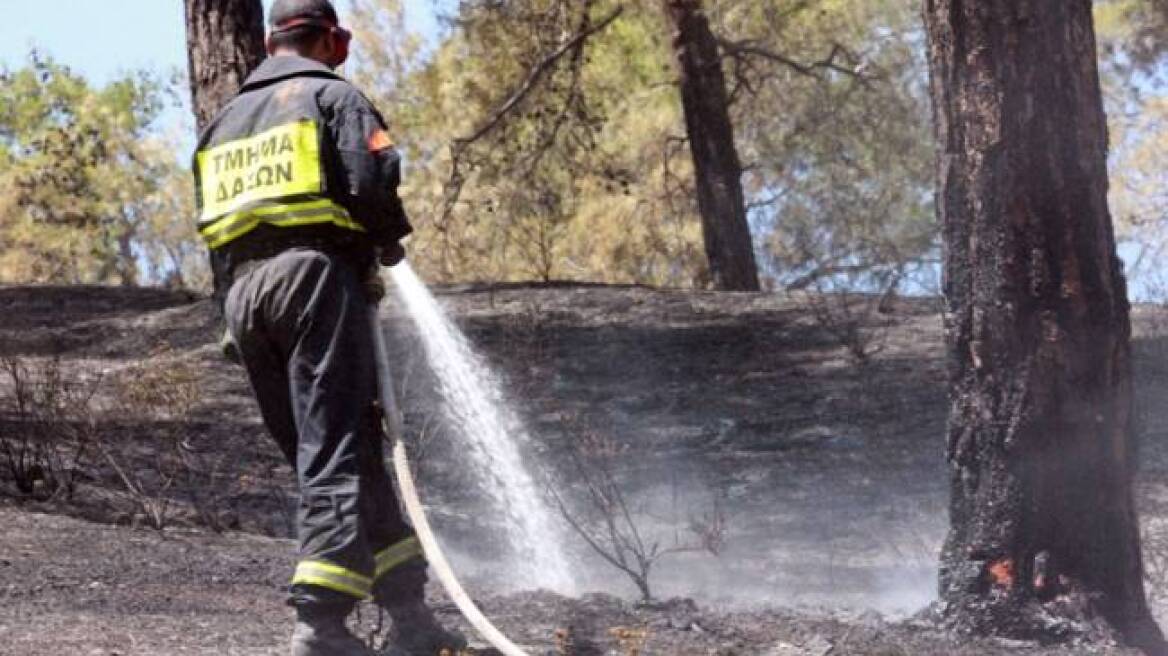 Καταδίκη 58χρονου για πυρκαγιά στην Ιεράπετρα