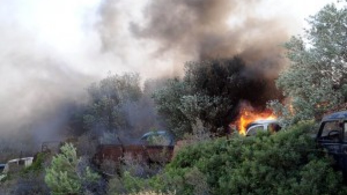 Έσβησε η φωτιά στα Καλά Νερά Βόλου