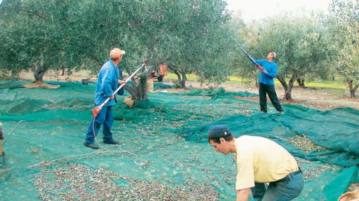  Οι σημαντικότερες πληρωμές που αναμένει ο αγροτικός κόσμος μέχρι το τέλος του 2012 