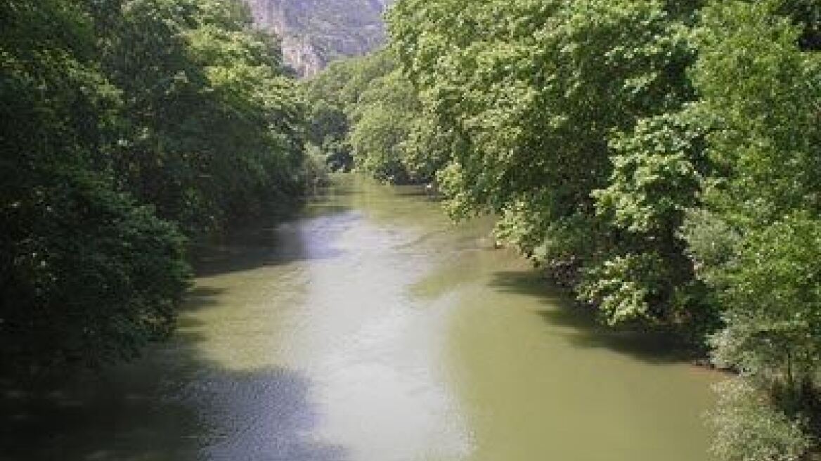 Δεν πρόλαβαν να σώσουν άλογο  που έπεσε στον Πηνειό