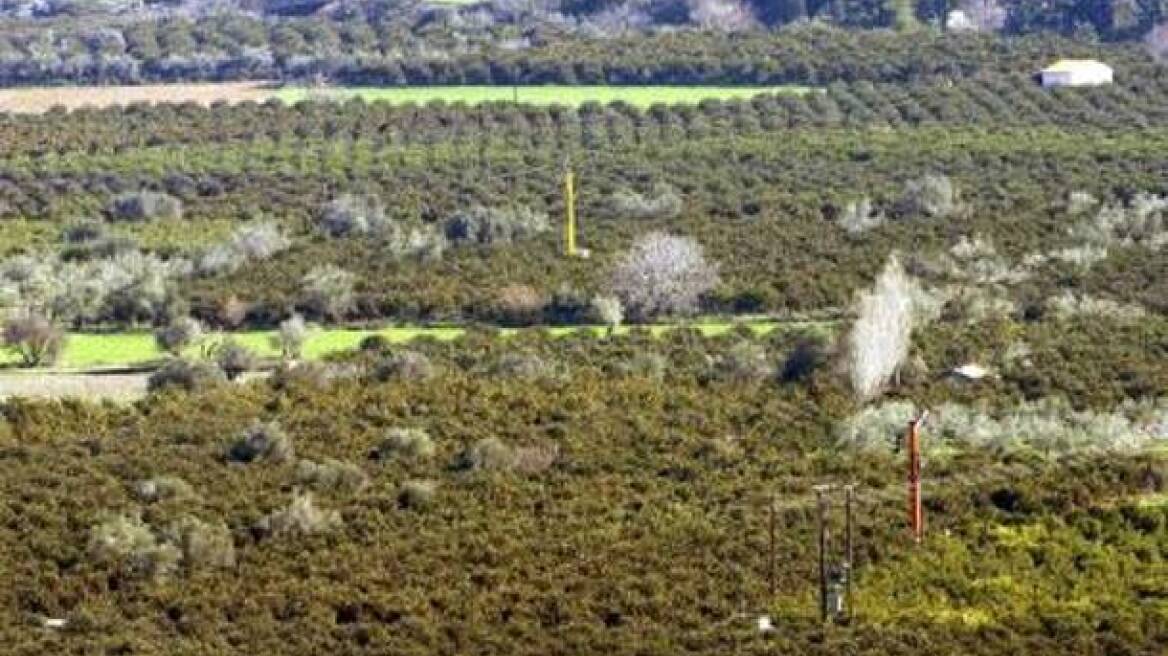 Από την Δευτέρα οι αποζημιώσεις του ΕΛΓΑ