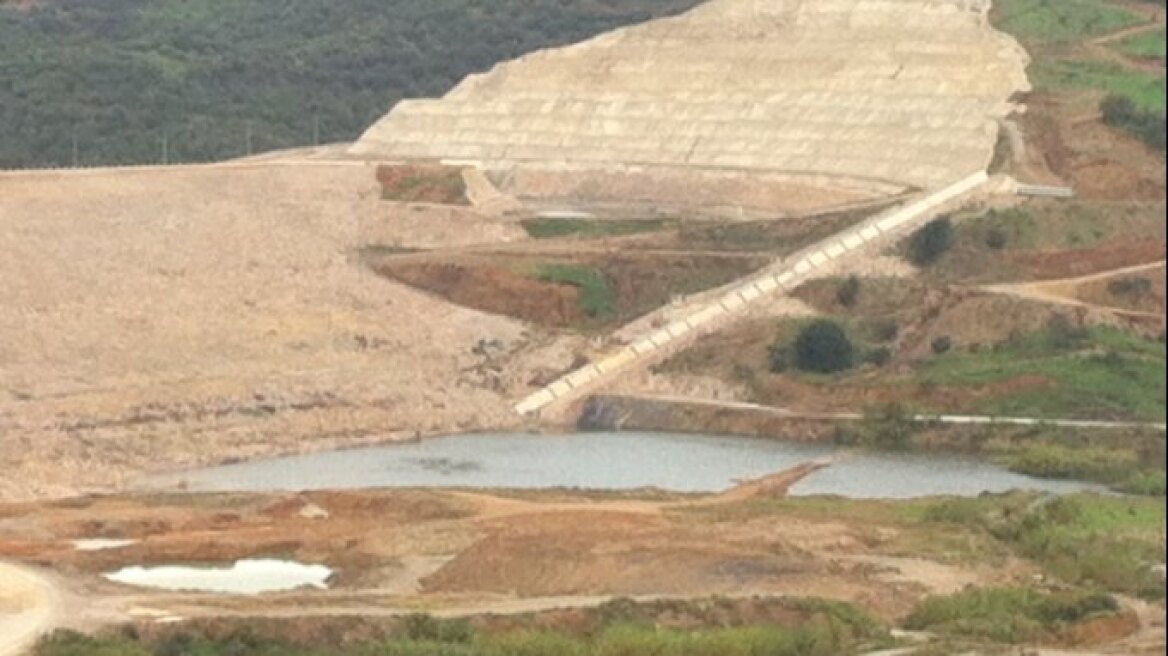 Στο «σκαμνί» για τα χιλιάδες κομμένα ελαιόδεντρα