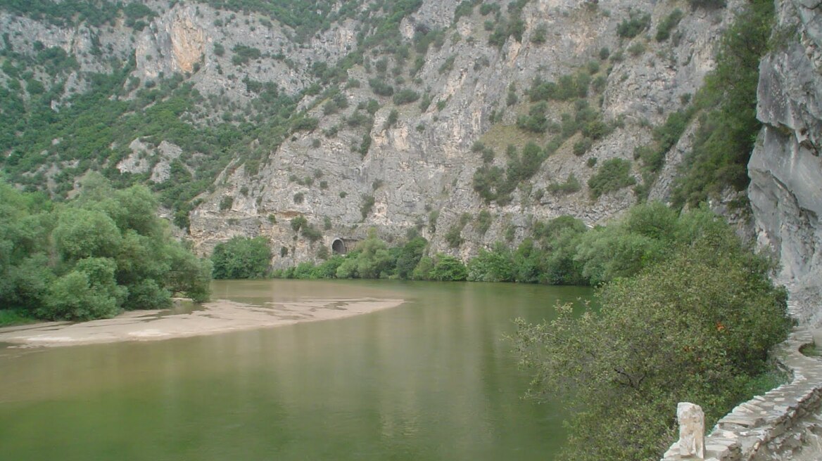 Σπάνια πουλιά νεκρά από φόλες στο Νέστο!