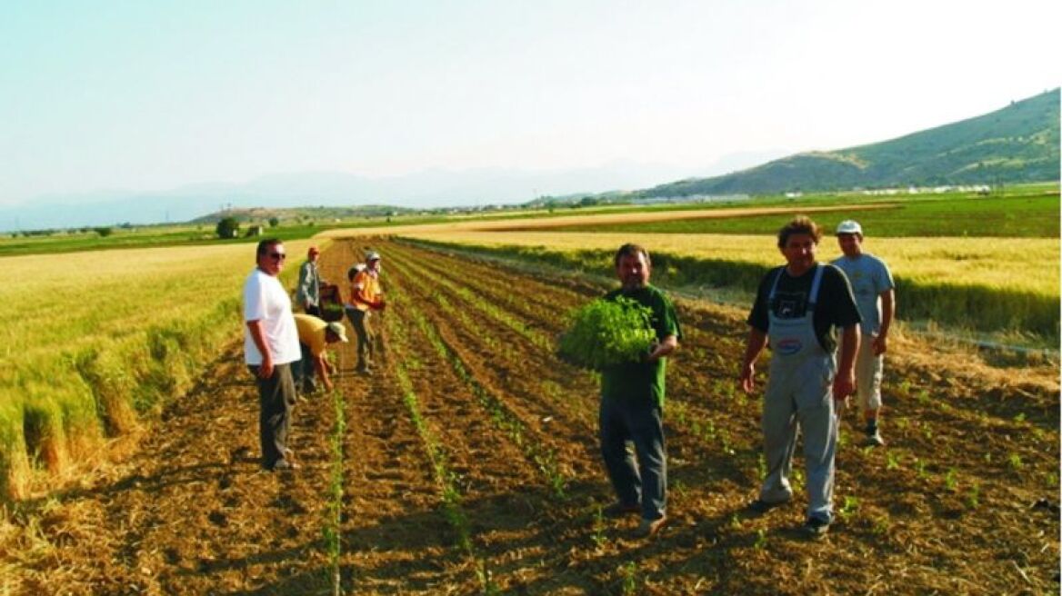 Νέοι 24-40 ετών «ντύνονται» αγρότες και μαθαίνουν νέα επαγγέλματα στο Γεωπονικό Πανεπιστήμιο