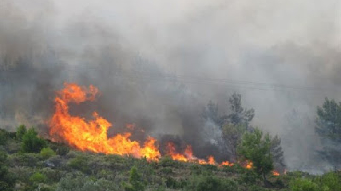 Μεγάλη πυρκαγιά στα Κάτω Τρίκαλα Κορινθίας