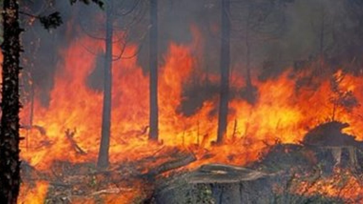 Σε ύφεση φωτιά στα Τρίκαλα της ορεινής Κορινθίας