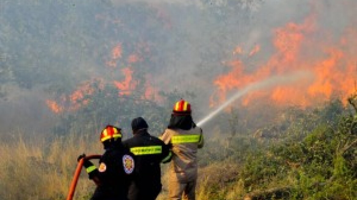 Μαγνησία: Πύρινα μέτωπα σε Δράκεια - Χάνια και Καστρί Πηλίου