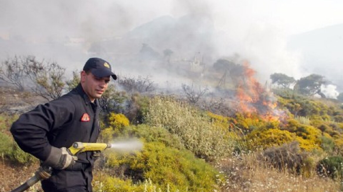 Δύο πύρινα μέτωπα σε Βοιωτία και Φθιώτιδα