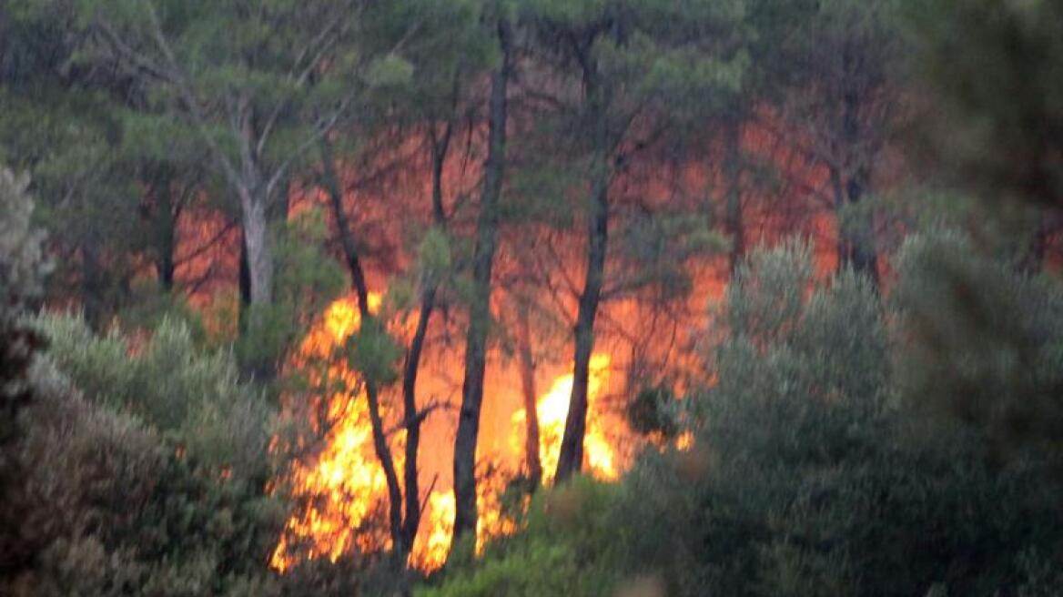 Πυρκαγιά στον Ακροπόταμο Θεσσαλονίκης 