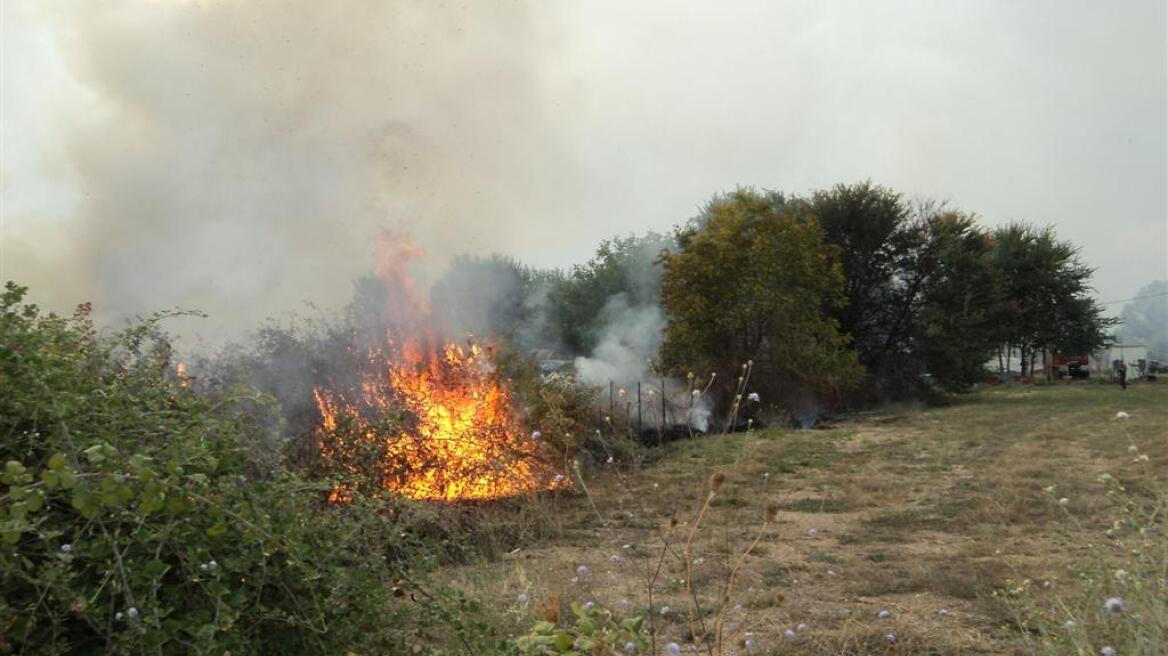 Μαίνεται ανεξέλεγκτη η πυρκαγιά στην Κύπρο 