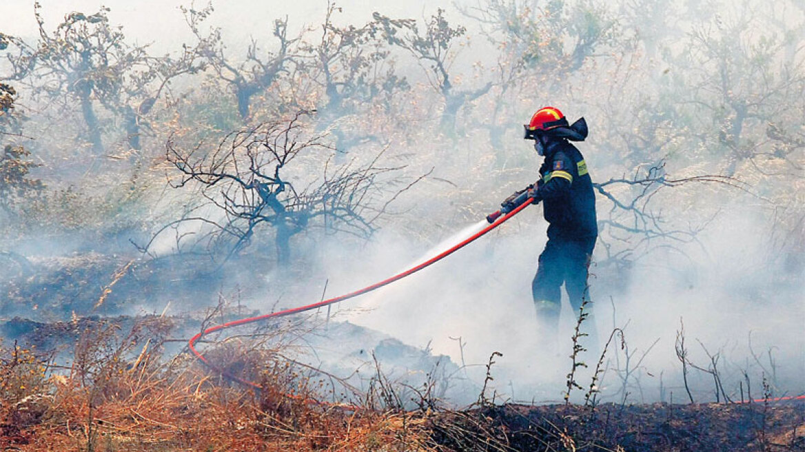 Συναγερμός από φωτιά στο Ηράκλειο Κρήτης - Κινδύνευσαν σπίτια