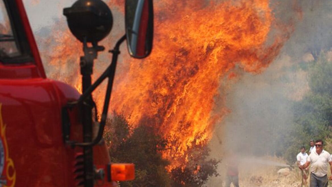 Κάηκαν 100 στρέμματα δασικής έκτασης στην Ελασσόνα