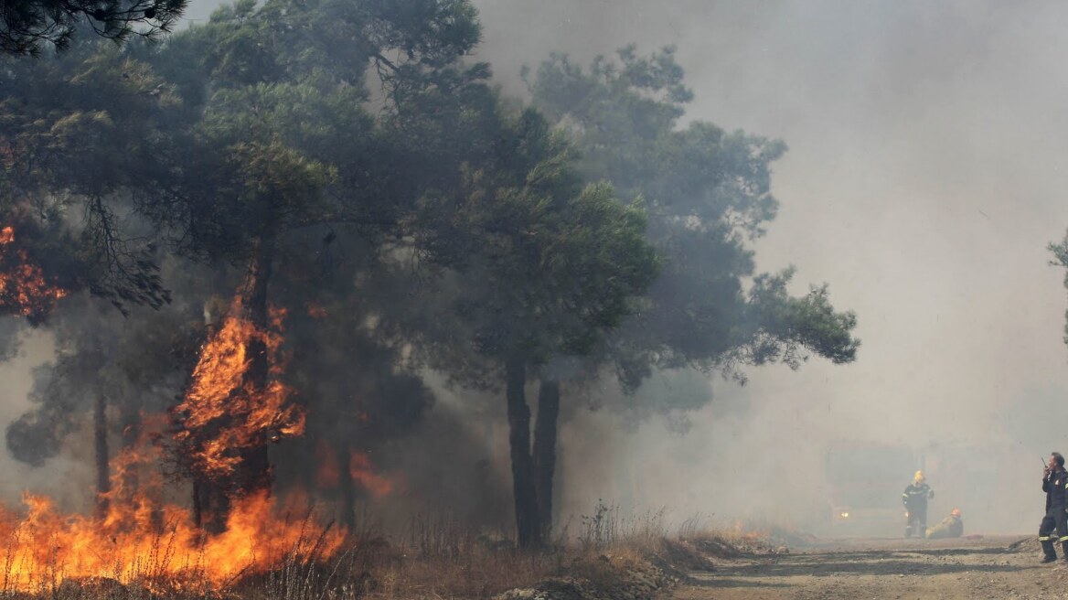 Εύβοια: Στο πόδι ένα ολόκληρο χωριό - Φωτιά απειλεί σπίτια 