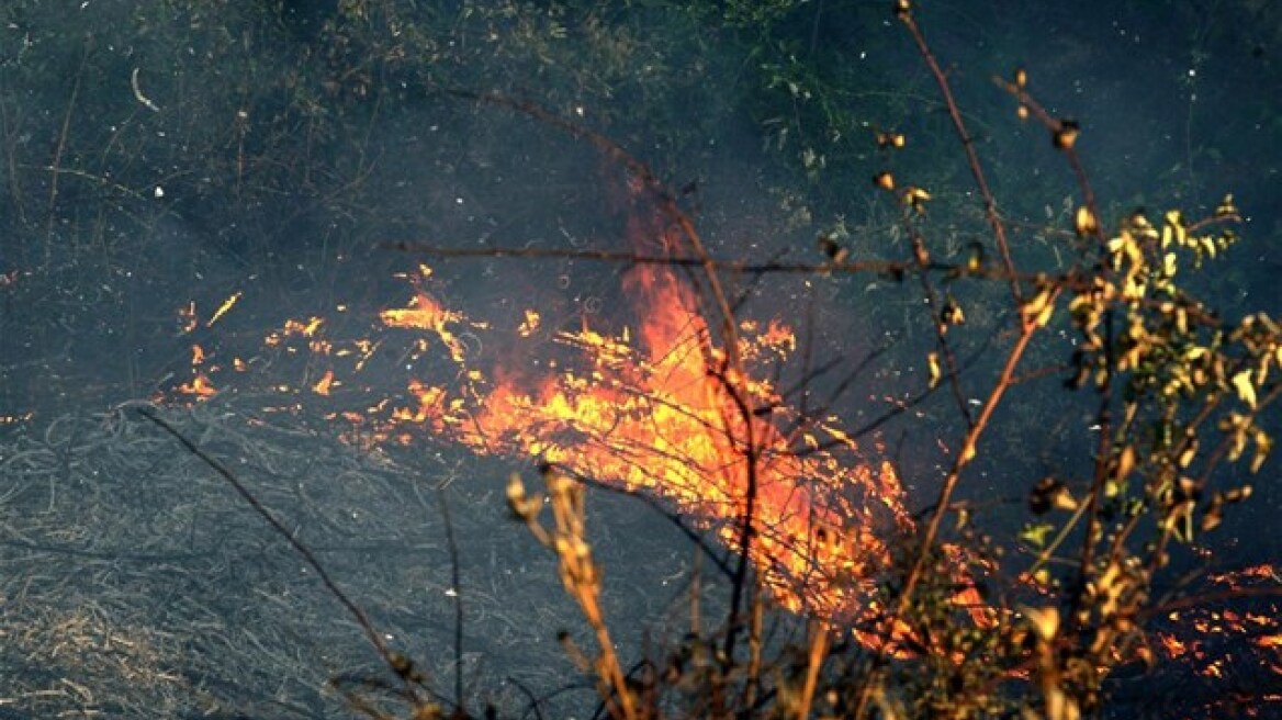 Πολύ υψηλός κίνδυνος πυρκαγιάς σήμερα σε Αττική - Ν. Εύβοια