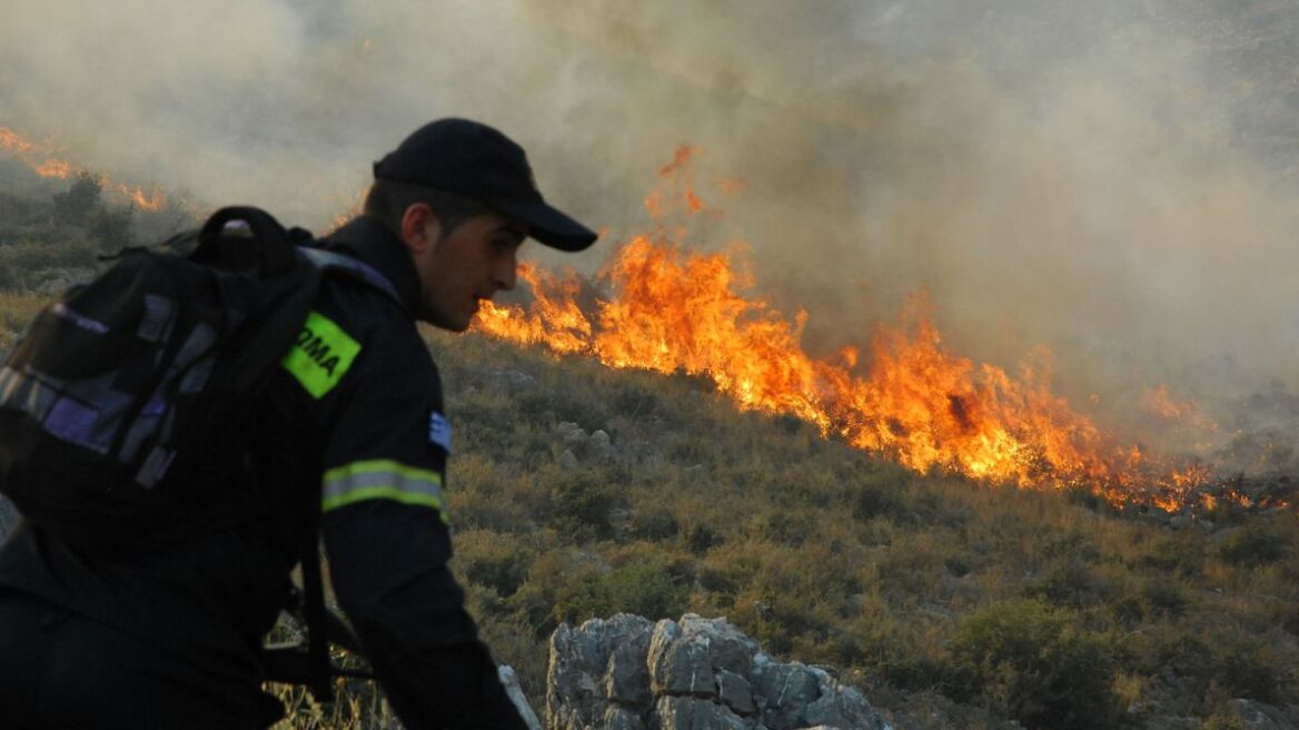 Υπό έλεγχο πυρκαγιά σε δασική έκταση στη Θεσσαλονίκη