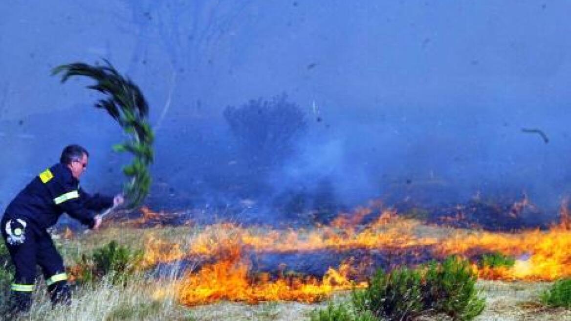 Συνέλαβαν επ’ αυτοφώρω γυναίκα που έβαζε φωτιές στην Πάτρα