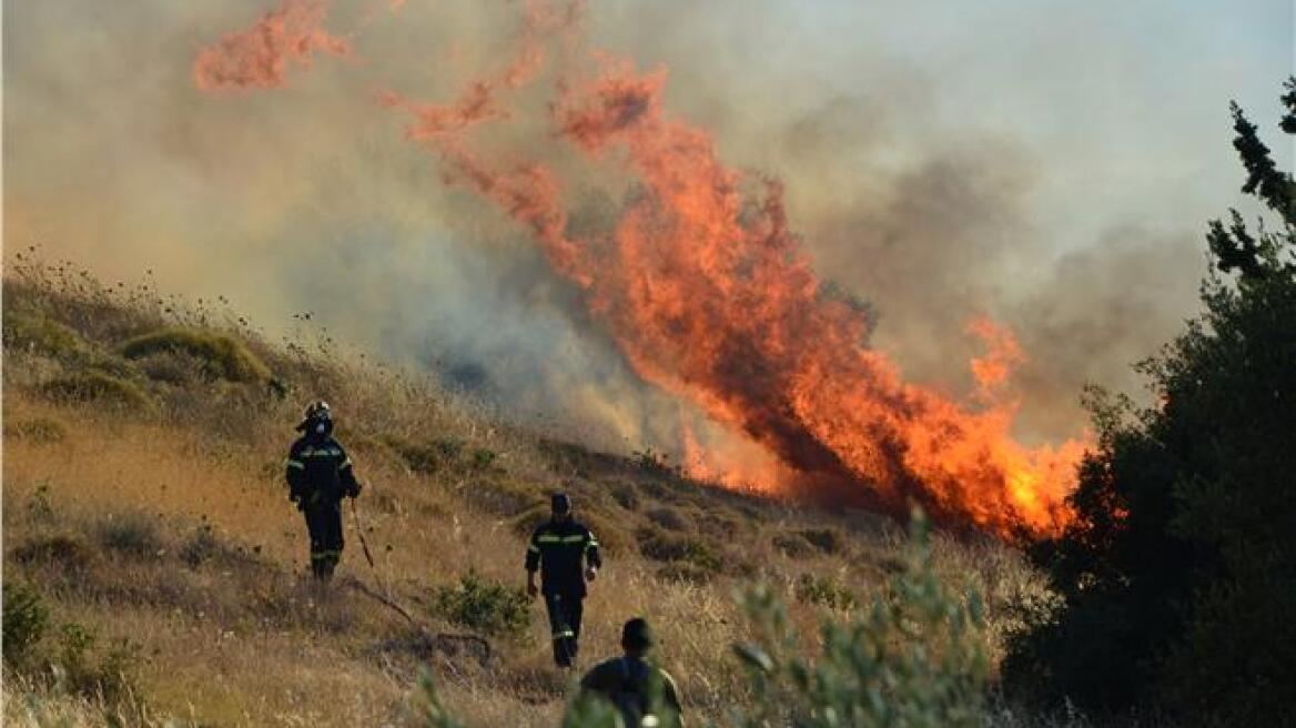 Σύλληψη ανηλίκου για τη φωτιά στη Νεμέα