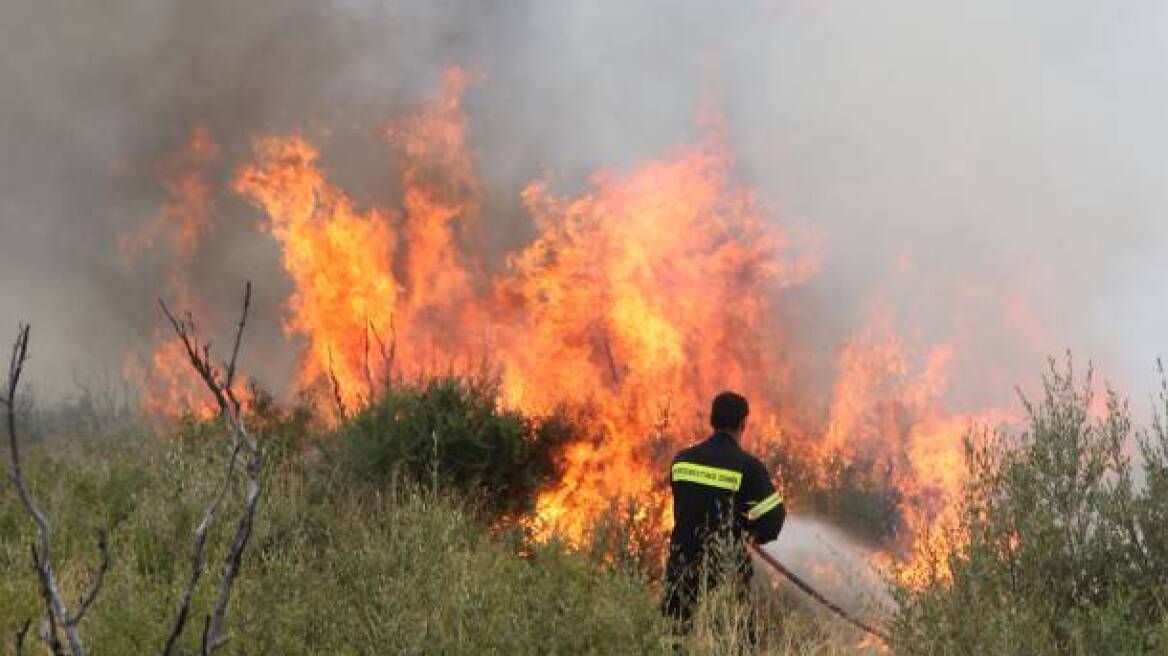 Υπό μερικό έλεγχο η πυρκαγιά στη Νεμέα Κορινθίας