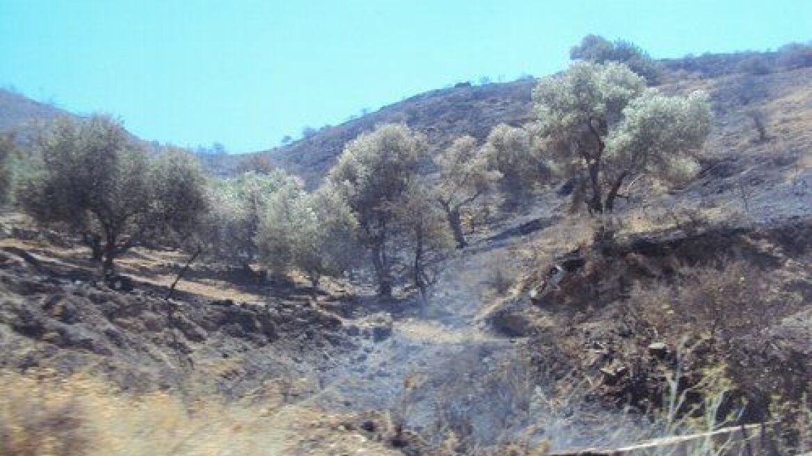 Παλεύουν τις τελευταίες εστίες φωτιά στη Ρόδο