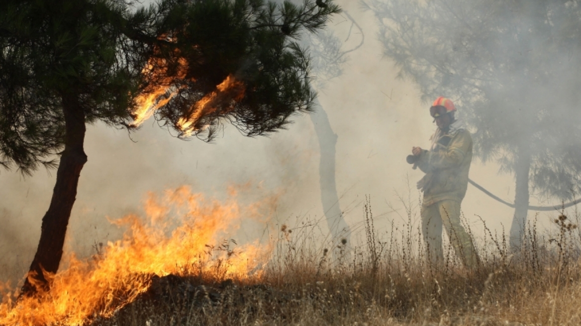  Υπό μερικό έλεγχο η φωτιά στη Ρουπακιά Αχαΐας