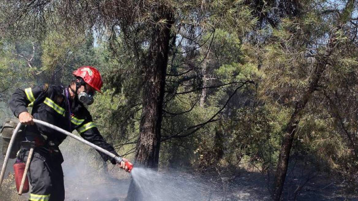 Υπό έλεγχο η πυρκαγιά που μαινόταν στα βόρεια της Μαδρίτης 