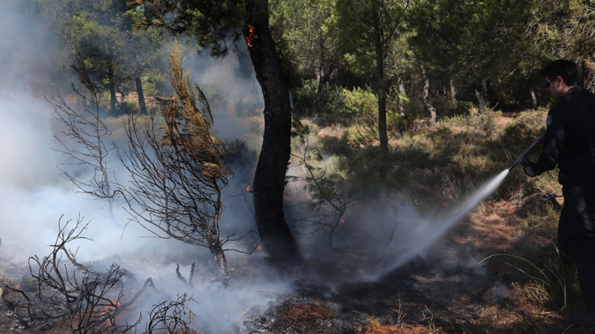 Συνελήφθη 60χρονος για απόπειρα εμπρησμού 