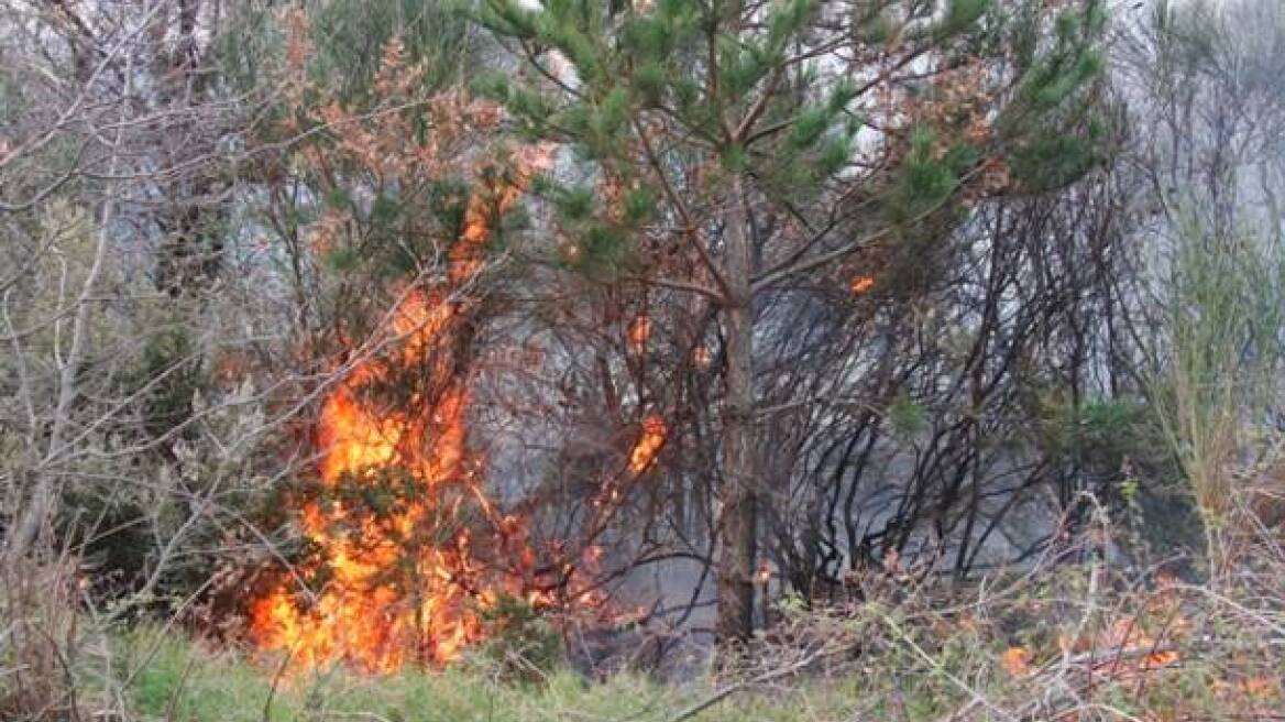 Υπό μερικό έλεγχο η φωτιά στον Γέρακα