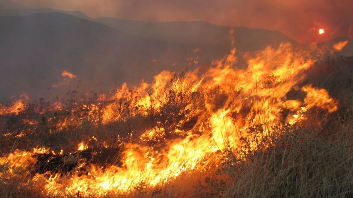 Προς κατοικημένες περιοχές κατευθύνεται η φωτιά στην Ερμιόνη