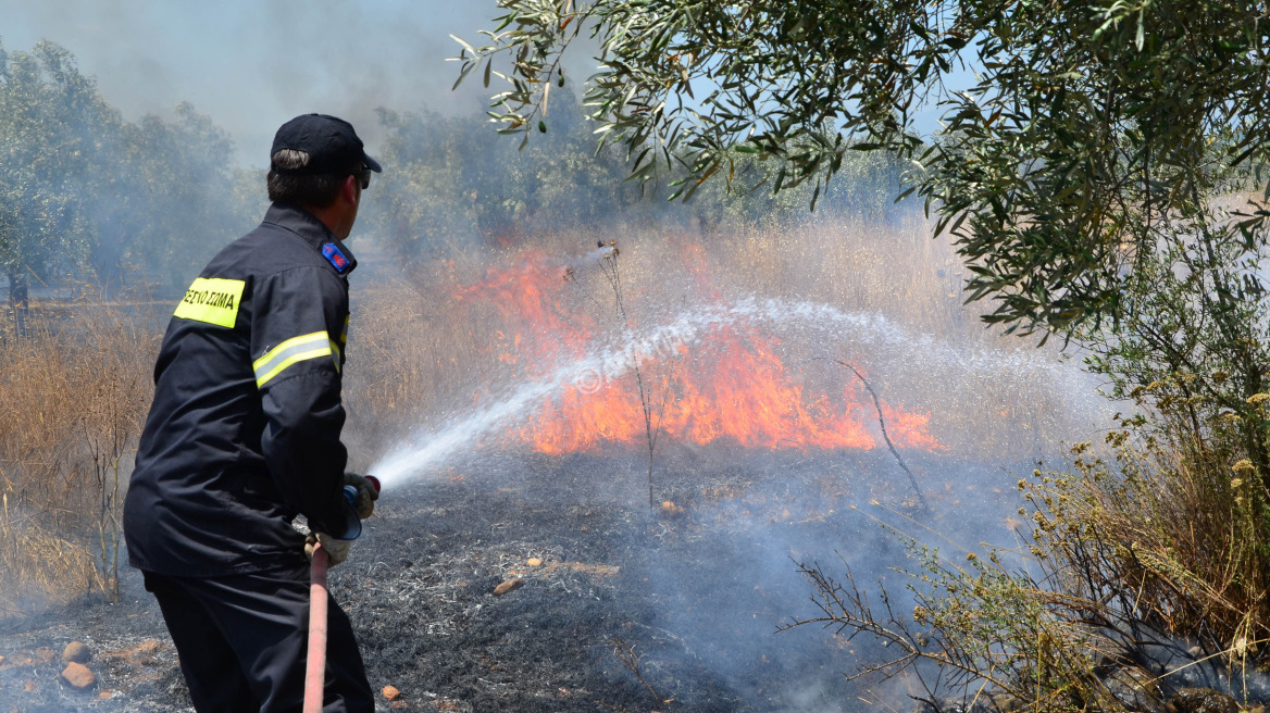 Υπό μερικό έλεγχο η πυρκαγιά στο Κατσιμίδι Αττικής