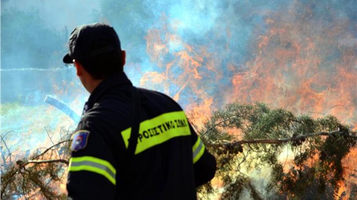 Κρήτη: Είκοσι εμπρησμούς ομολόγησε η 70χρονη που συνελήφθη στα Χανιά