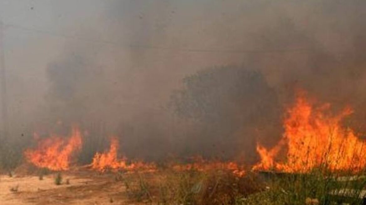 Υπό μερικό έλεγχο η πυρκαγιά στο Πικέρμι 