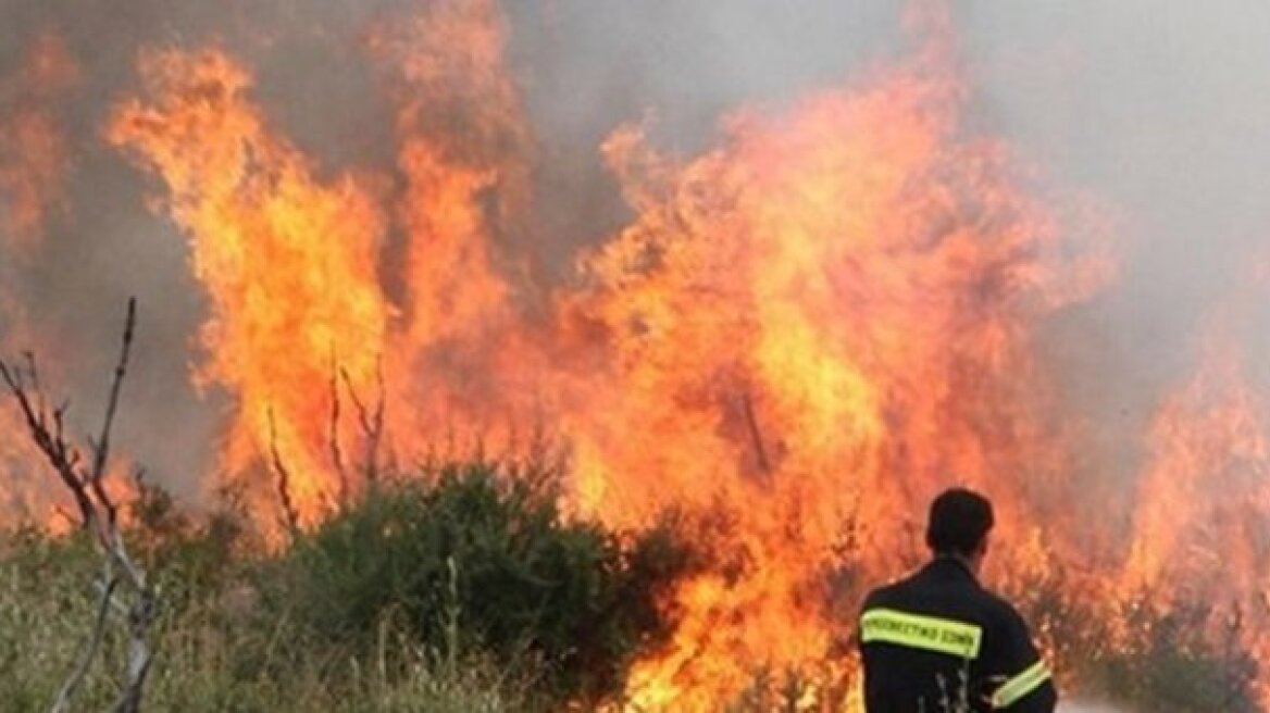 40χρονος συνελήφθη για πυρκαγιές στη Ρόδο 