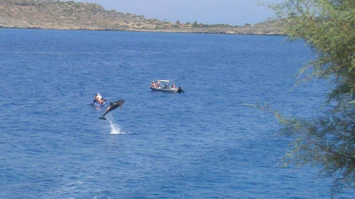 Δείτε φωτό: Δελφίνι εντυπωσιάζει λουόμενους στα Μάρμαρα Σφακίων