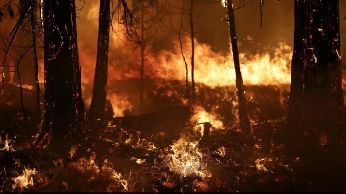 Εκτός κάθε ελέγχου η τεράστια πυρκαγιά στην Καλιφόρνια 