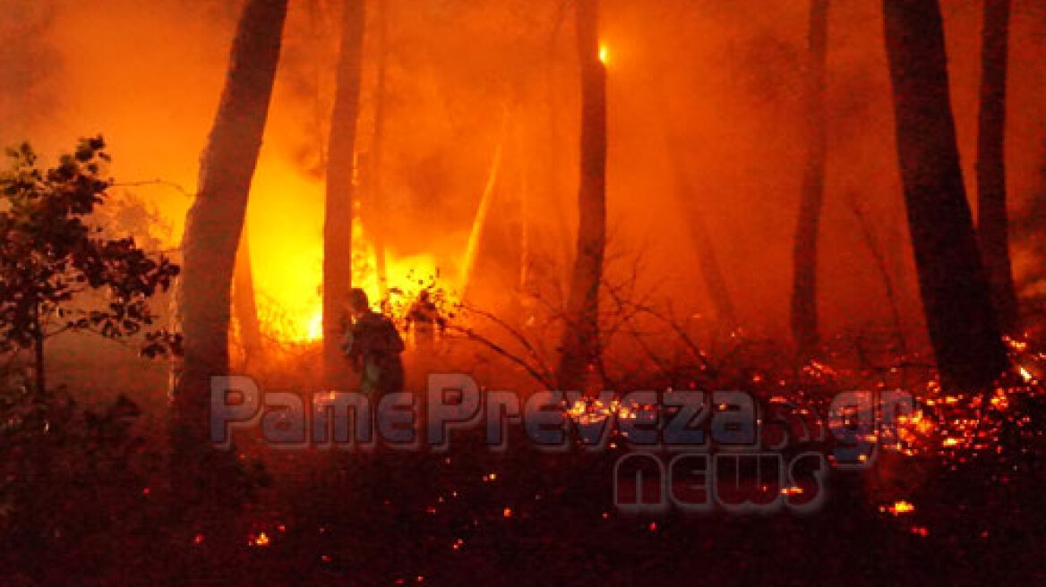 Υπό έλεγχο η φωτιά στο Μονολίθι Πρέβεζας