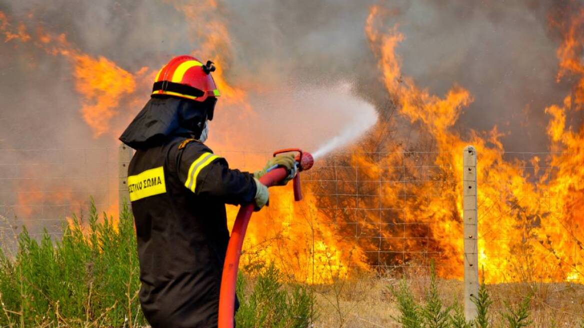 Υπό μερικό έλεγχο η φωτιά στο Νεοχώρι Πηλίου