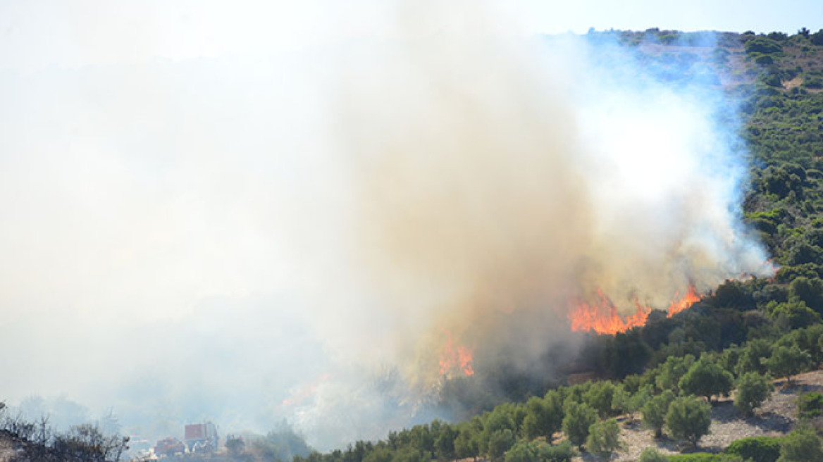 Σε ύφεση η πυρκαγιά στην Χρυσοκελαριά Μεσσηνίας