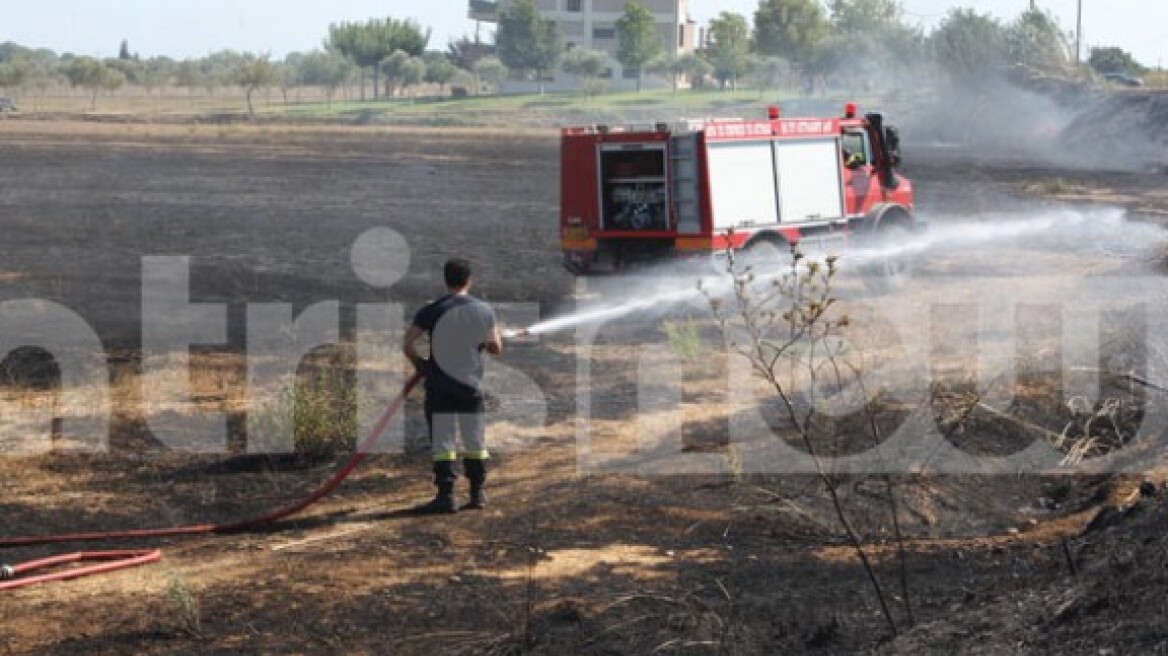 Hλεία: Πήγαν να σβήσουν τη φωτιά και ανακάλυψαν ανθρώπινο κρανίο 