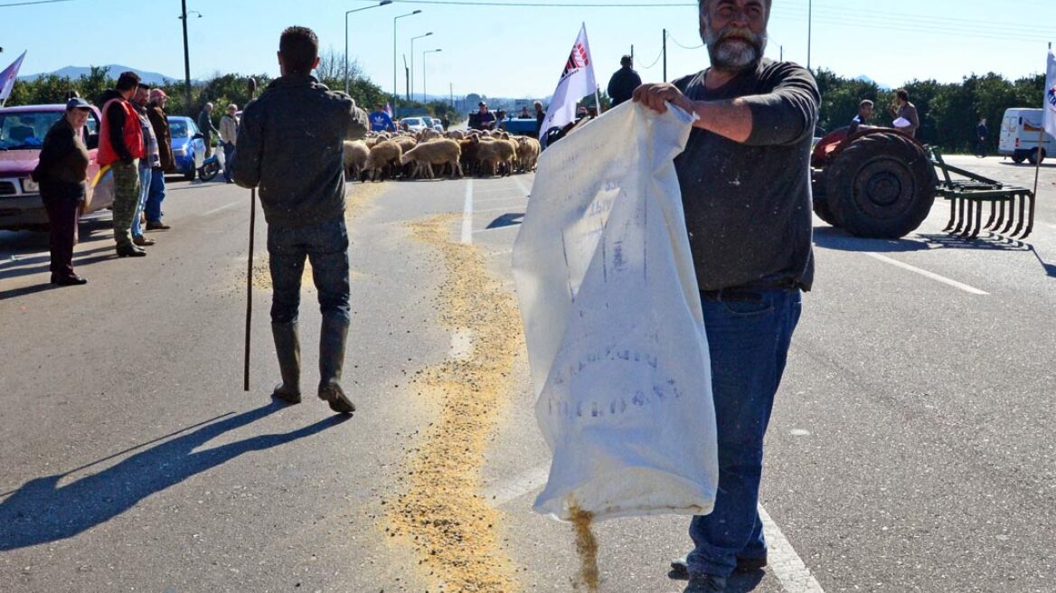 Σε κινητοποιήσεις προχωρούν οι κτηνοτρόφοι