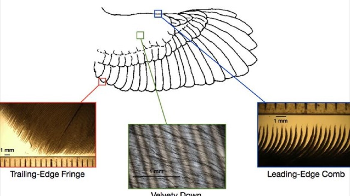 Φτερά κουκουβάγιας για αθόρυβα... αεροσκάφη και υποβρύχια!