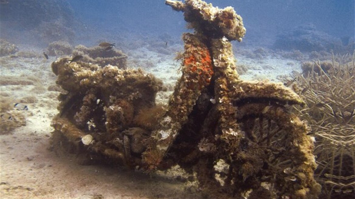 Φωτογραφικό ταξίδι στην υποβρύχια Ελλάδα