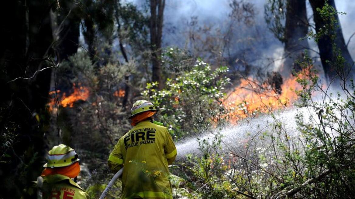 Αυστραλία: Η πυροσβεστική υπηρεσία της Νέας Νότιας Ουαλίας θέλει να προσλάβει Έλληνες!