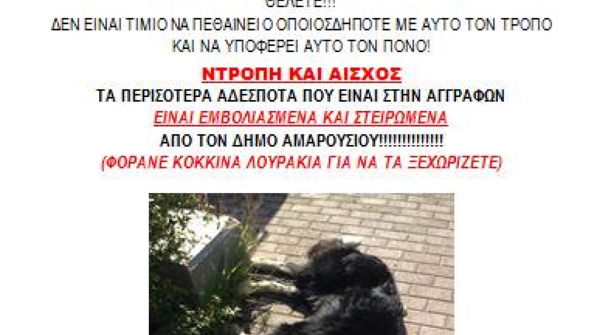 Δηλητηρίασαν αδέσποτο στο Μαρούσι