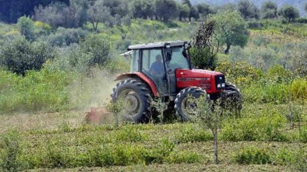 ΕΛΓΑ: Αποζημιώσεις 12 εκατ. ευρώ σε παραγωγούς