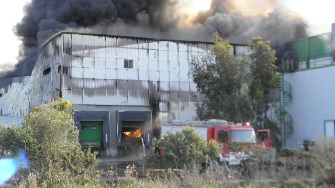 Ρέθυμνο: Μετρούν τις «πληγές» τους στην Creta Farms